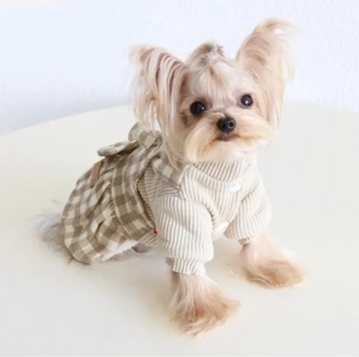 cute fleece check dress